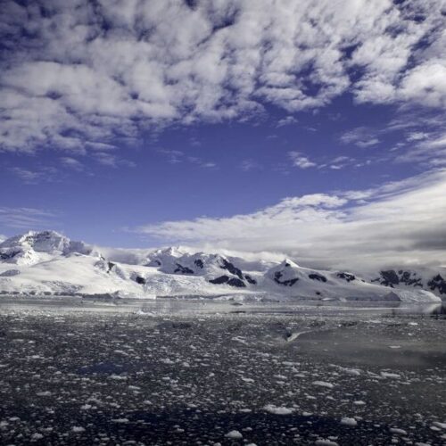 Antarctica Peninsula Landscape, sunny blue sky with dramatic clouds, icebergs drifting in the antarctic sea, see my antarctic lightbox for more