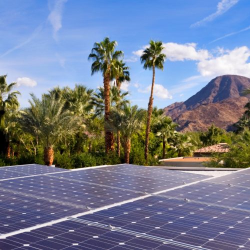 solar panels with tropical forest and trees behind