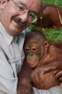 amory baby orangutan