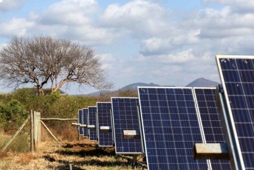 rows of solar panels