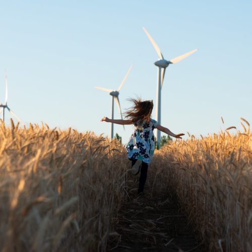 wheat field with girl and wind turbines