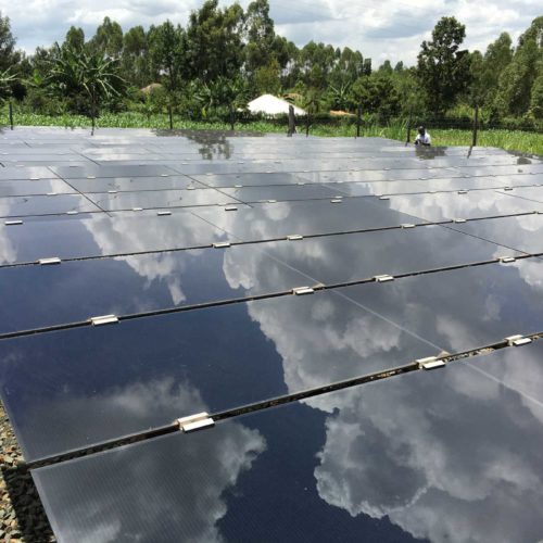 field of solar panels